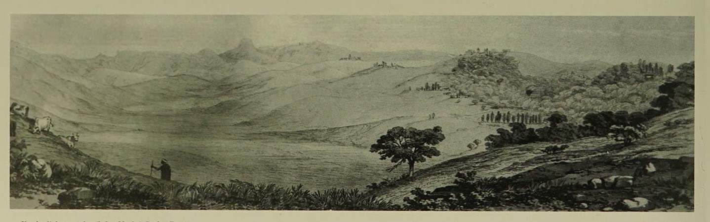 Misty Hills of Kodaikanal